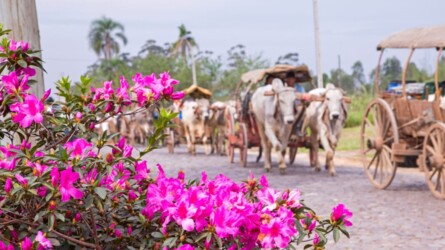 venha-conhecer-as-belezas-de-ararica
