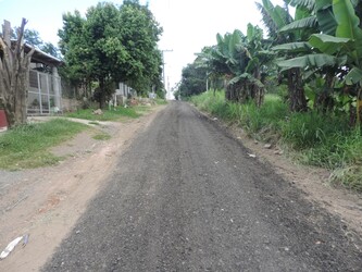 Fotos