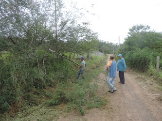 Fotos