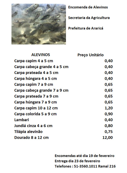 Fotos